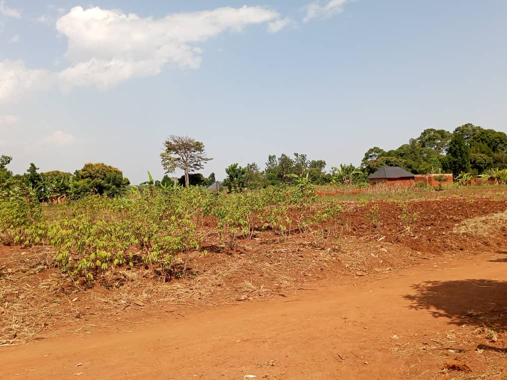 Discover Prime Investment Opportunities: 50ft*100ft Plots of Land for Sale in Uganda Uganda, often referred to as the "Pearl of Africa," is not just a land of breathtaking natural beauty but also a land of opportunities. If you're in search of prime real estate investments, look no further than 50ft*100ft plots of land for sale in Uganda. In this article, we'll explore why these plots are a wise investment choice, where to find them, and how to make the most of this golden opportunity. Why Choose 50ft*100ft Plots of Land in Uganda? Investing in 50ft*100ft plots of land in Uganda offers several advantages that make it a smart choice: Affordability: These plots are typically more affordable compared to larger parcels, making them accessible to a broader range of investors. This affordability can be particularly appealing if you are on a budget. Flexibility: The 50ft*100ft dimensions offer flexibility for various uses. Whether you're planning to build a residential home, a rental property, or a small business, these plots provide ample space for your vision. High Demand: The demand for land in Uganda, especially in urban and peri-urban areas, remains consistently high. Owning a 50ft*100ft plot can position you to meet the housing and commercial needs of the growing population. Ease of Maintenance: Smaller plots are generally easier to manage and maintain. This can be advantageous if you're not looking for a large-scale investment that requires significant upkeep. Where to Find 50ft*100ft Plots of Land for Sale in Uganda: Now that you're convinced of the merits of these plots, let's explore where you can find them: Real Estate Agencies: Local real estate agencies and agents are your first point of contact. They have access to a wide range of property listings, including 50ft*100ft plots in various locations. Property Auctions: Keep an eye on property auctions, where you may find distressed or foreclosed properties offered at competitive prices. Networking: Attend local real estate events, seminars, and networking gatherings to connect with property sellers and fellow investors. Word of mouth can lead you to hidden gem opportunities. Tips for Maximizing Your Investment: Here are some tips to make the most of your 50ft*100ft plot investment in Uganda: Location Matters: Research the location thoroughly. Consider factors such as proximity to amenities, infrastructure development, and future growth potential. Legal Due Diligence: Ensure the land has a clear title and is free from any disputes or encumbrances. Consulting a legal expert is advisable. Development Plans: Have a clear plan for your plot, whether it's for residential, commercial, or agricultural use. Understanding your vision will help guide your investment decisions. Financial Planning: Calculate the total cost of your investment, including the purchase price, land registration, and any development costs. Create a budget and explore financing options if needed. Investing in 50ft*100ft plots of land for sale in Uganda is a strategic move that aligns with affordability, flexibility, and high demand. By leveraging local real estate resources, conducting thorough research, and planning your investment wisely, you can unlock the potential of these plots in the "Pearl of Africa." Don't miss out on this golden opportunity to become a landowner in Uganda's thriving real estate market. Dirymas Homes Co. Ltd is here for you.